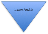 kpi_leaseaudits